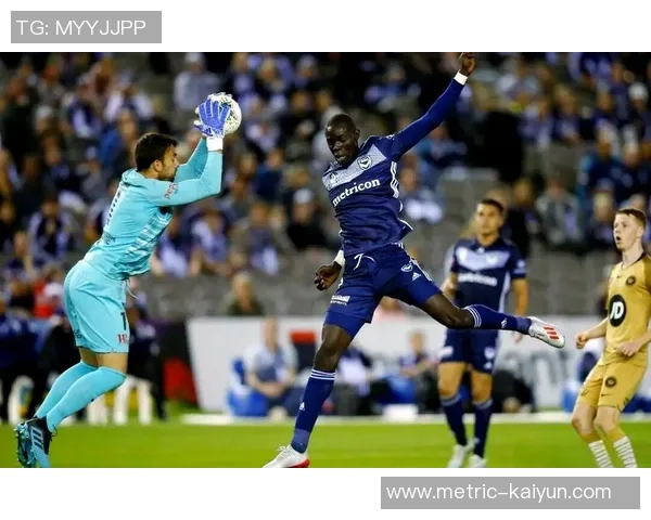 墨尔本足球俱乐部的辉煌历程与未来展望：从草根到顶尖球队的蜕变之路